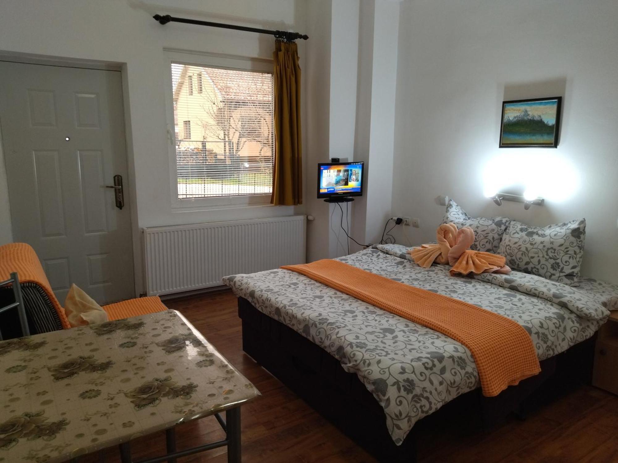 Vila Lenka Sokobanja Bilik gambar