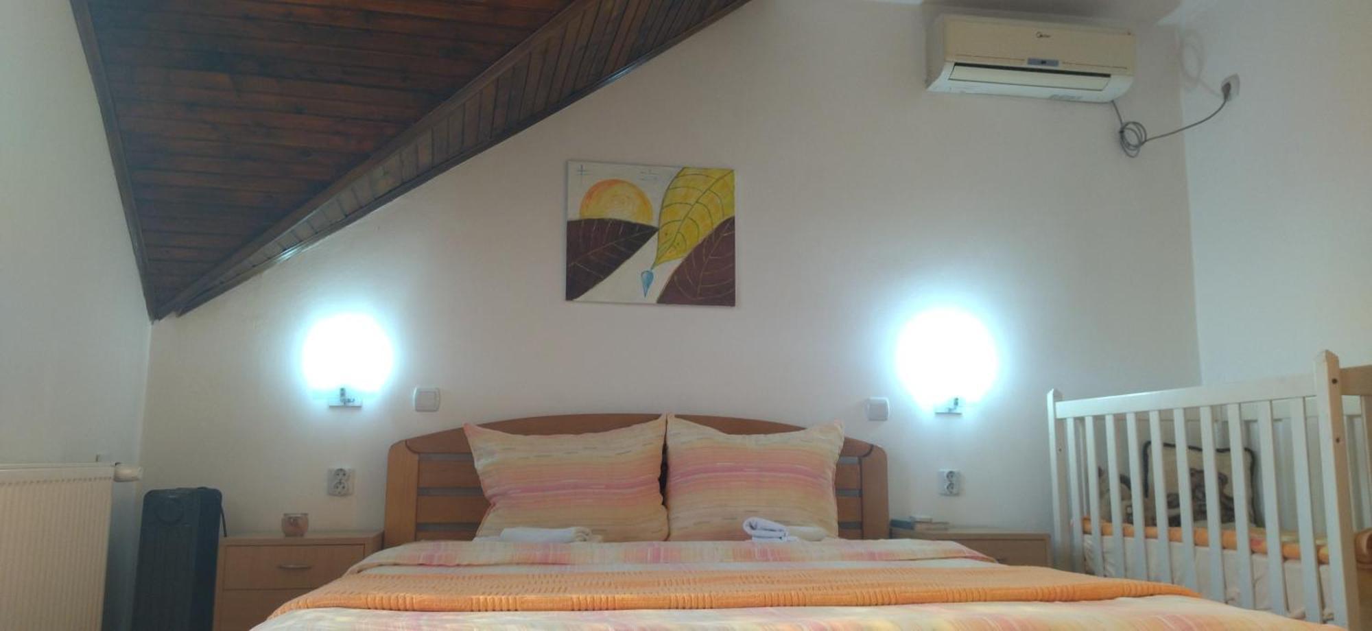Vila Lenka Sokobanja Bilik gambar