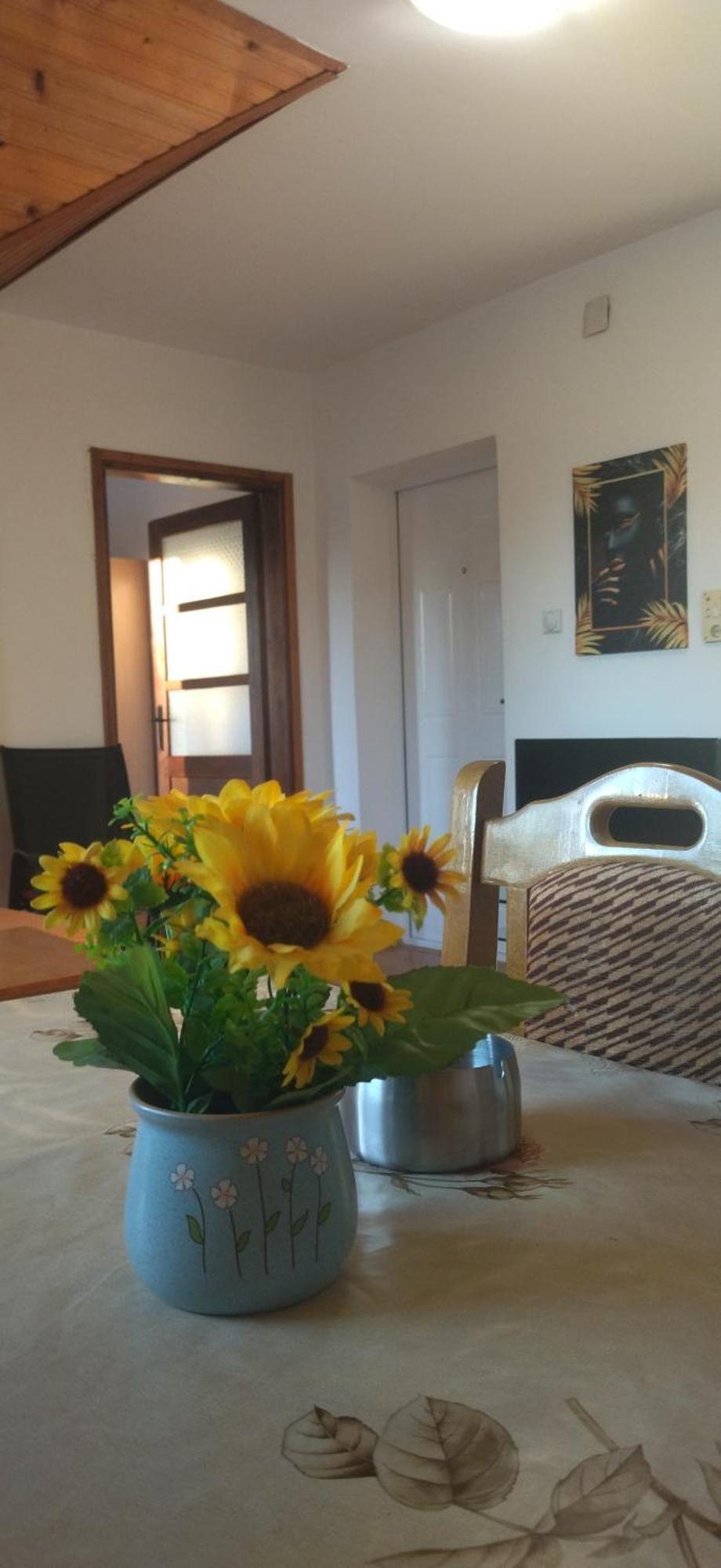 Vila Lenka Sokobanja Bilik gambar