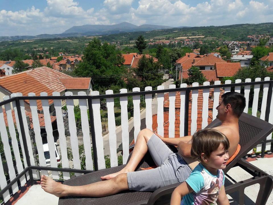 Vila Lenka Sokobanja Luaran gambar