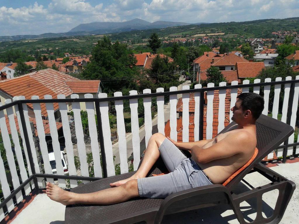 Vila Lenka Sokobanja Luaran gambar