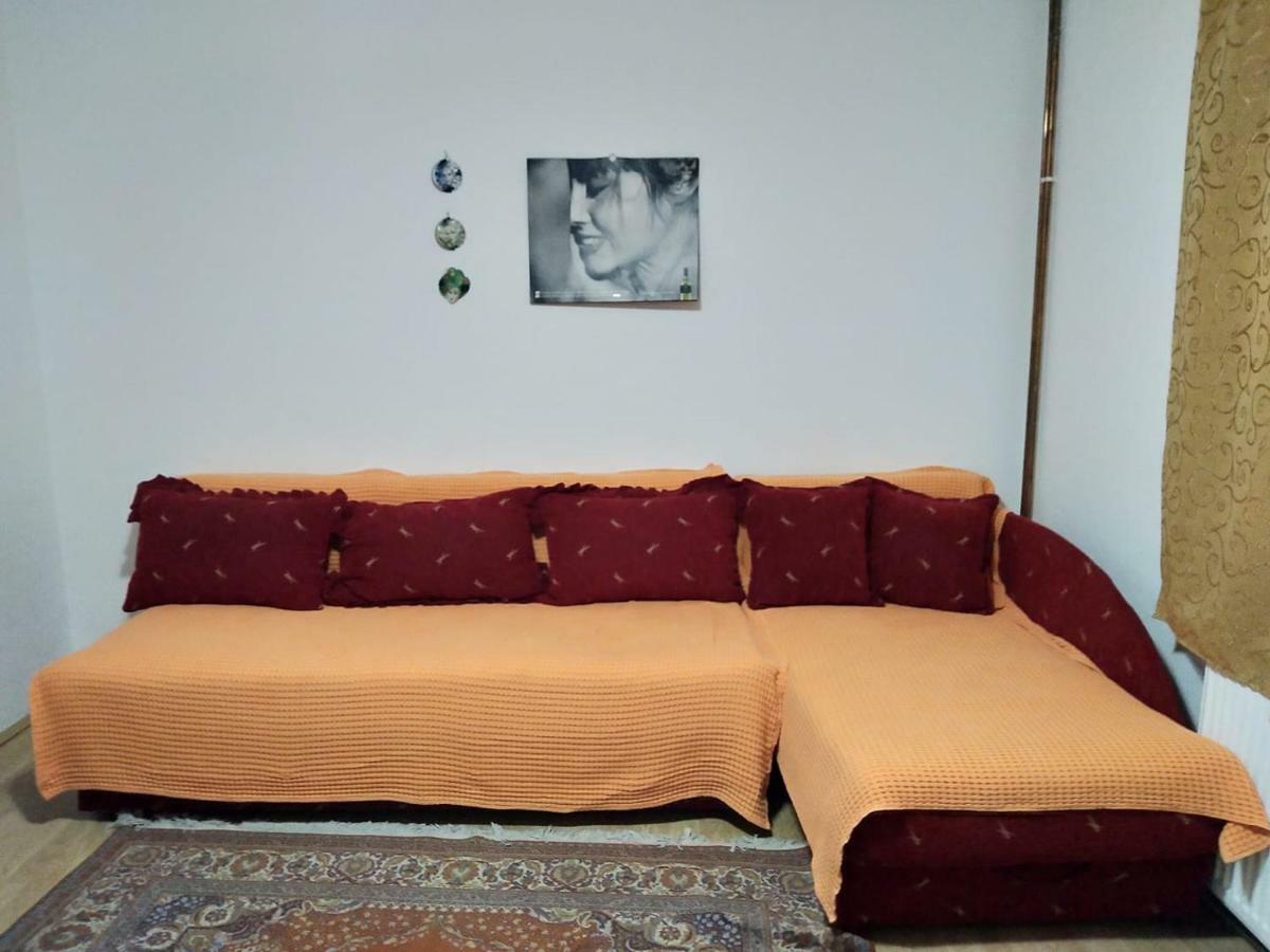Vila Lenka Sokobanja Luaran gambar