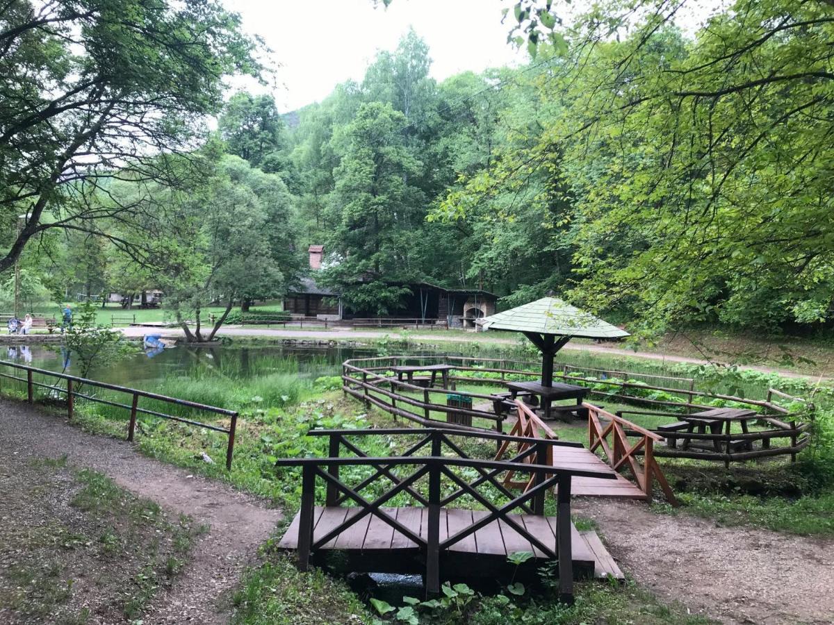 Vila Lenka Sokobanja Luaran gambar